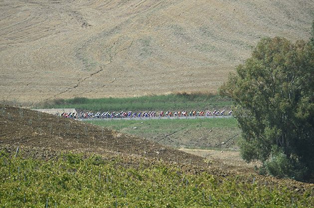 Peloton